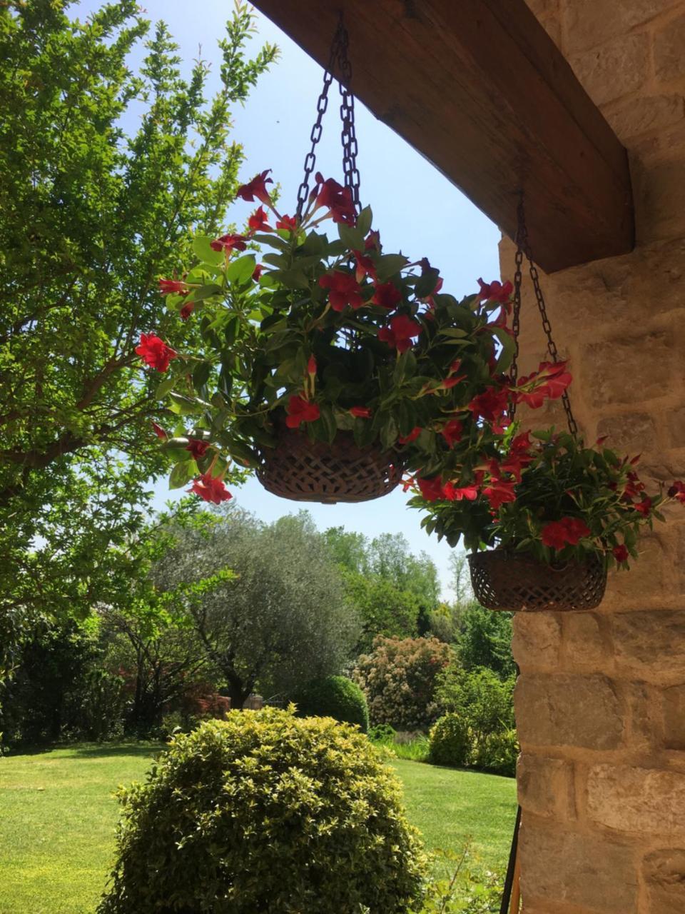 Casa Rebellato Villa San Zenone ภายนอก รูปภาพ